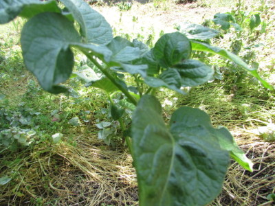 2019-05-05 2019505 010